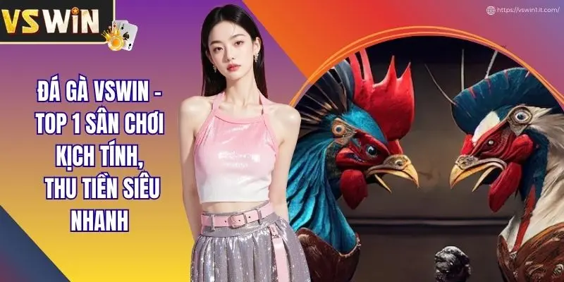Đá Gà VSWIN - Top 1 Sân Chơi Kịch Tính, Thu Tiền Siêu Nhanh