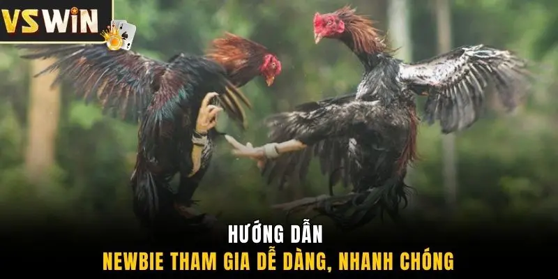 Hướng dẫn newbie tham gia dễ dàng, nhanh chóng